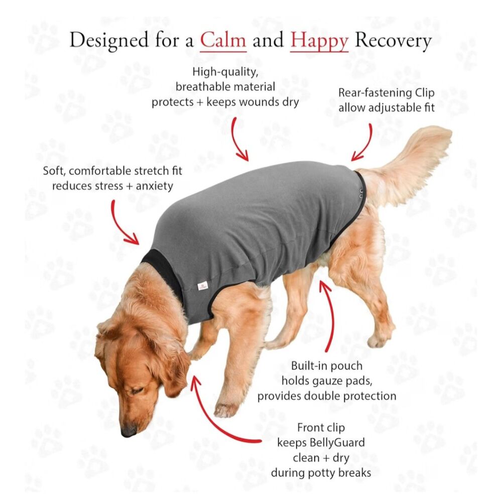BellyGuard Dog Surgical Recovery Suit – Size XL – New